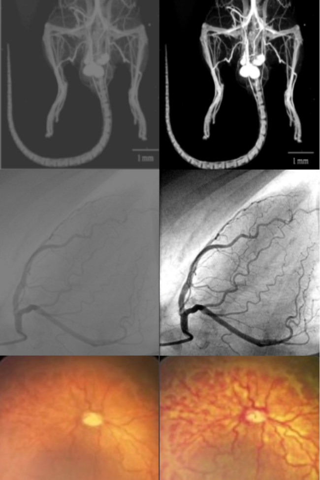 NOVAI Nordic Vision - Website Bilder (5).png