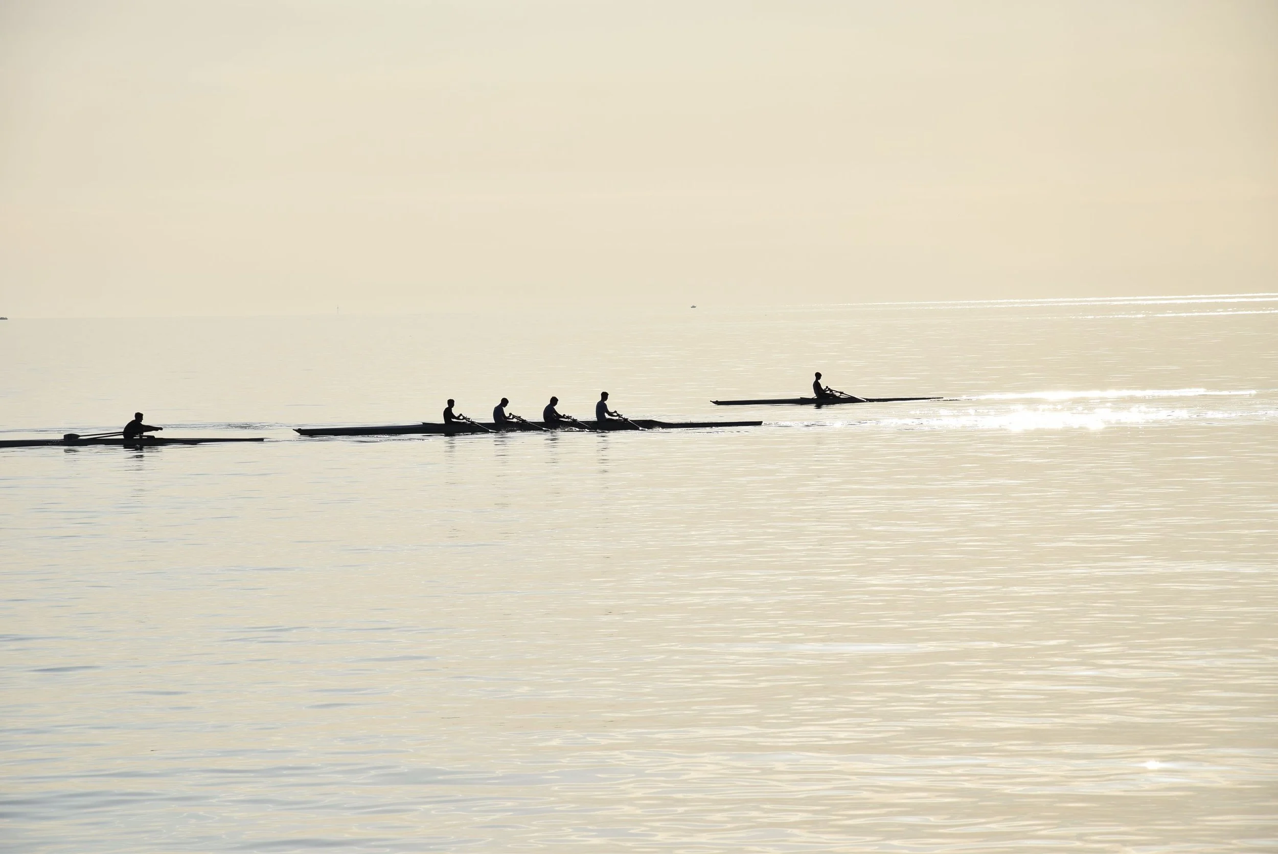 Rowing Regatta