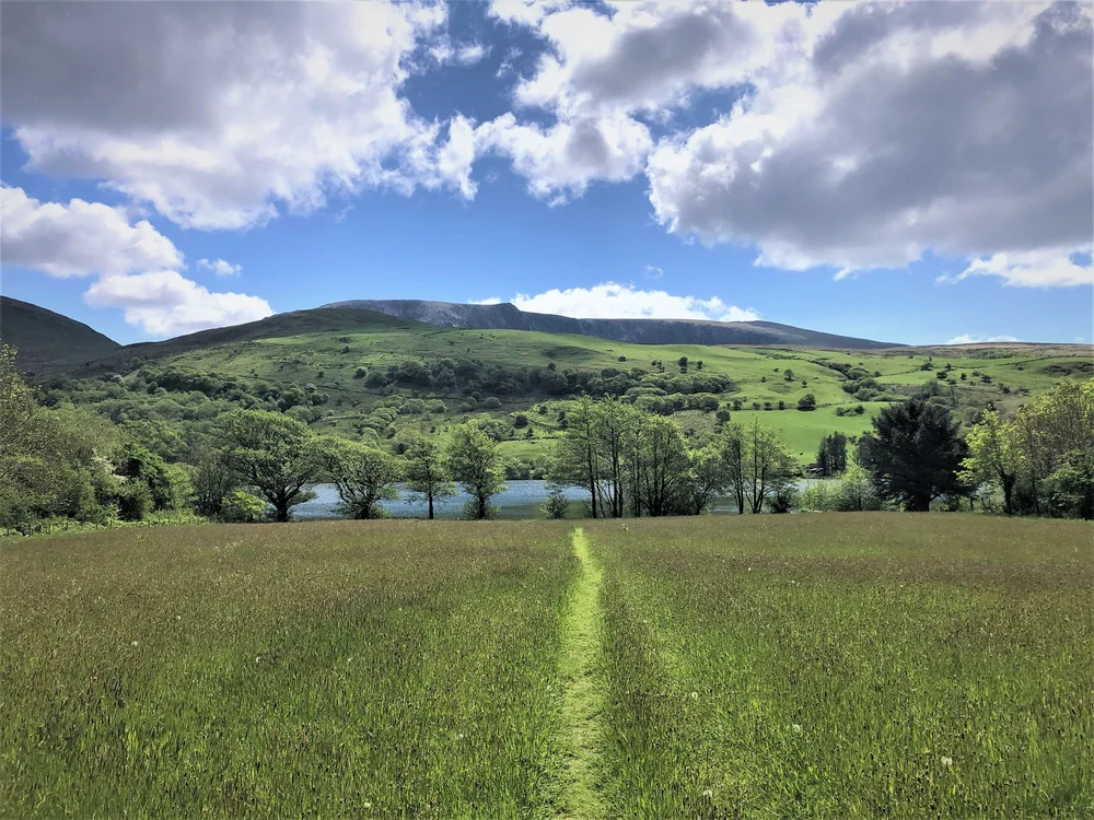 Trigonos in Nantlle