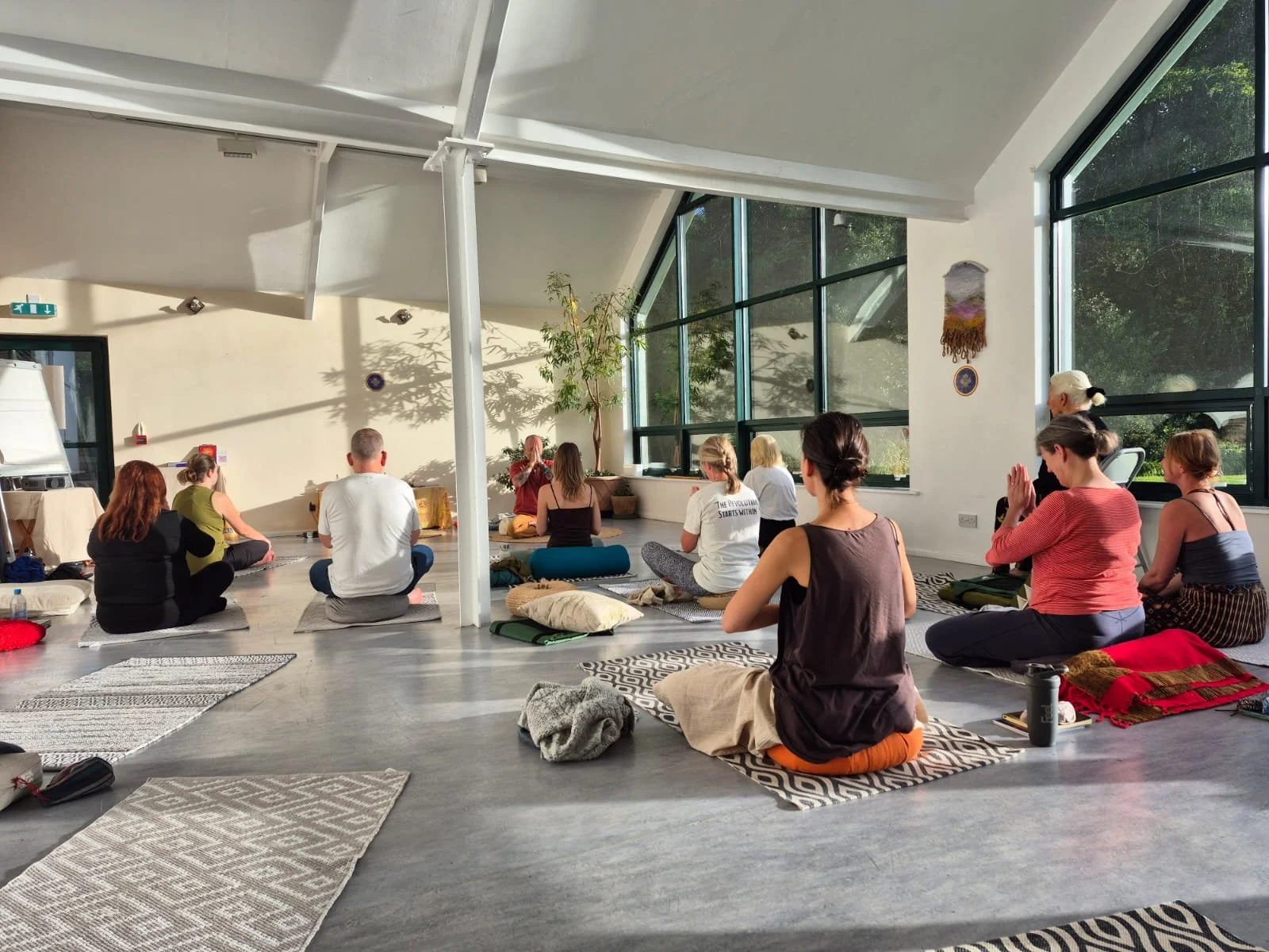 The Luminous Being Retreat - Entrance into the Living Field of Awareness