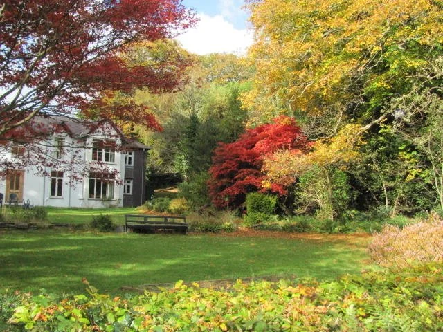 Rear Plas Autumn.jpg