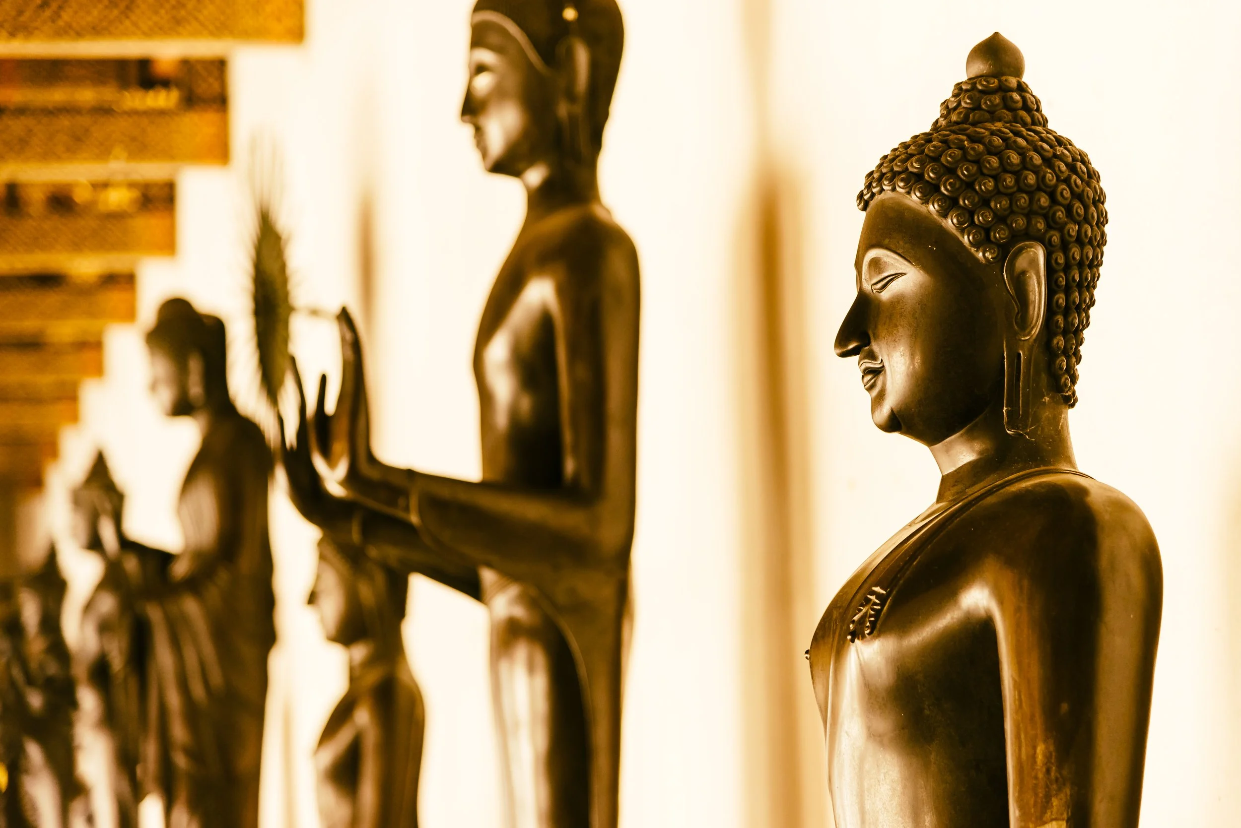 Buddhist Burial Service in Singapore: A Comprehensive Guide to Traditions, Process, and Packages