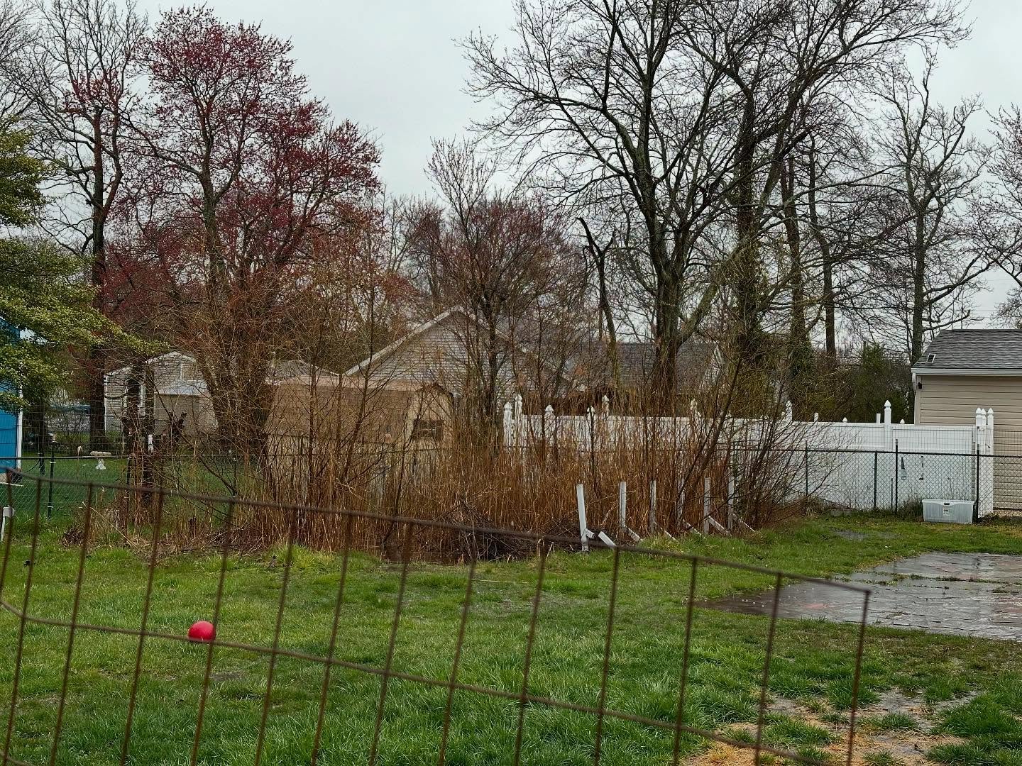 Pool frame removed, fill in, topsoil spread and seeded!