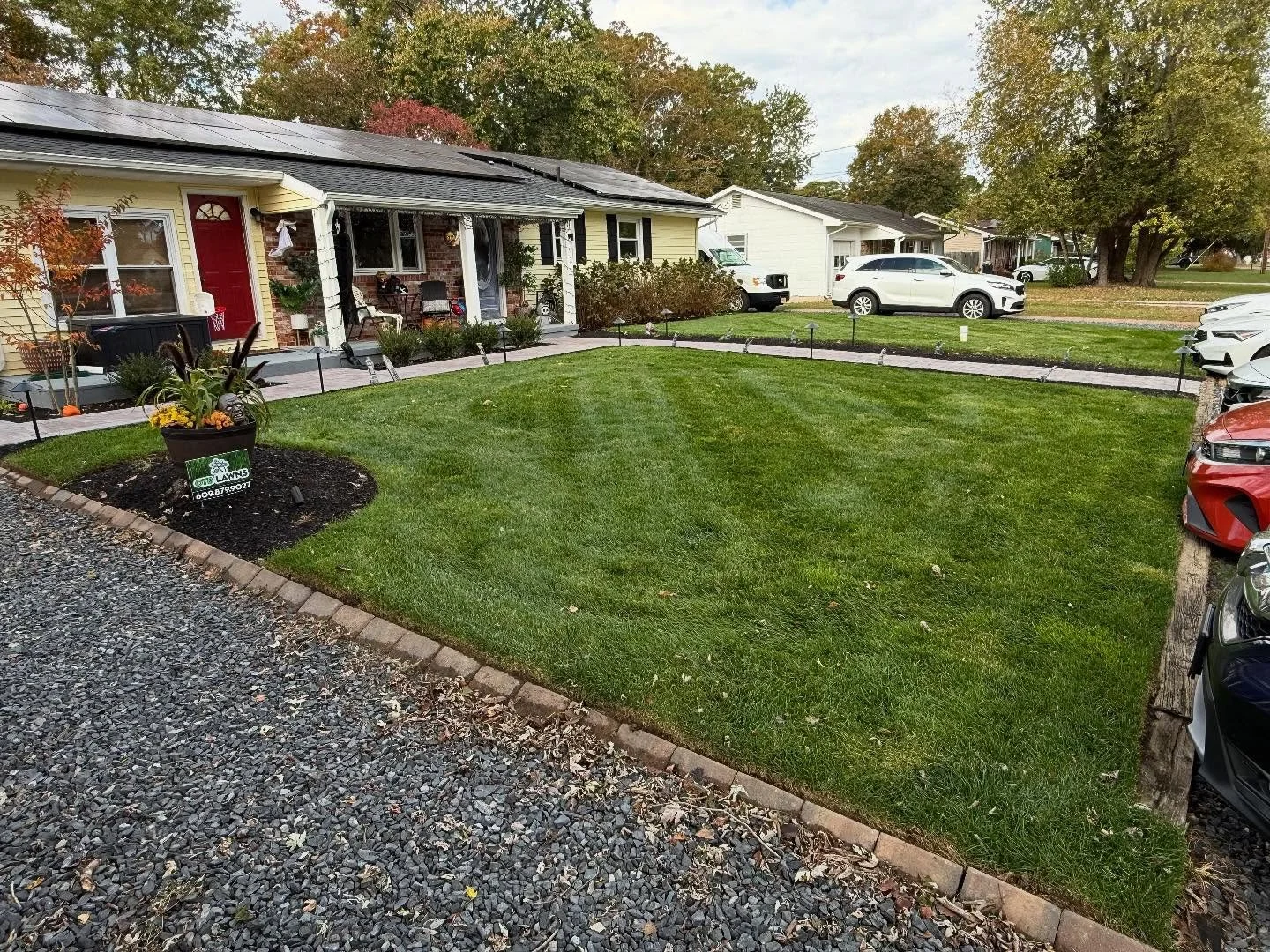 The transplanted lawn is doing great!