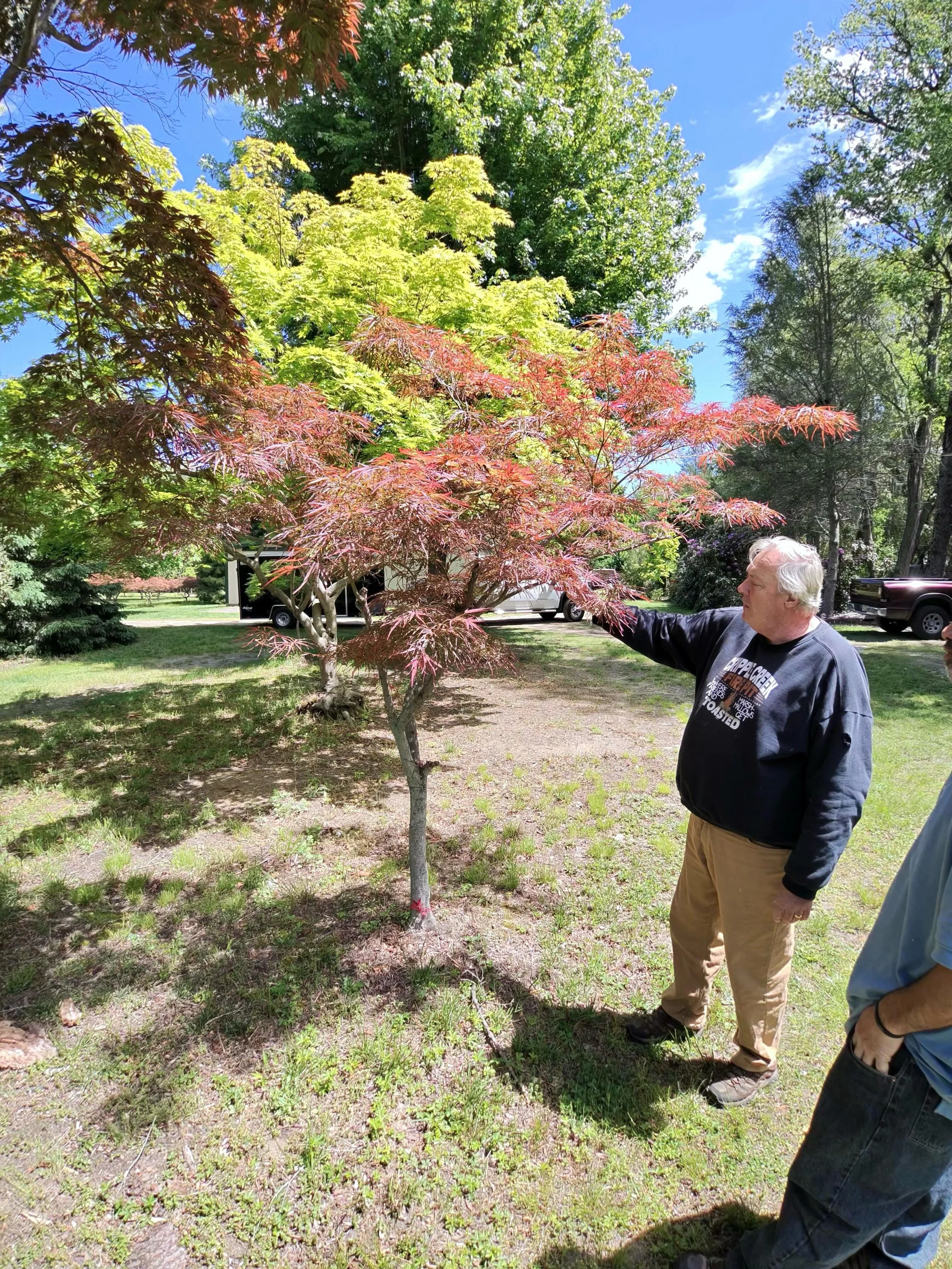 The start of the journey in its phases from running into a great expert Bruce Wolf; to meeting one of the most beautiful tree specimens I&rsquo;ve ever seen and then to them getting it ready to come to my home. It is a 30+ year old red pygmy Japanese