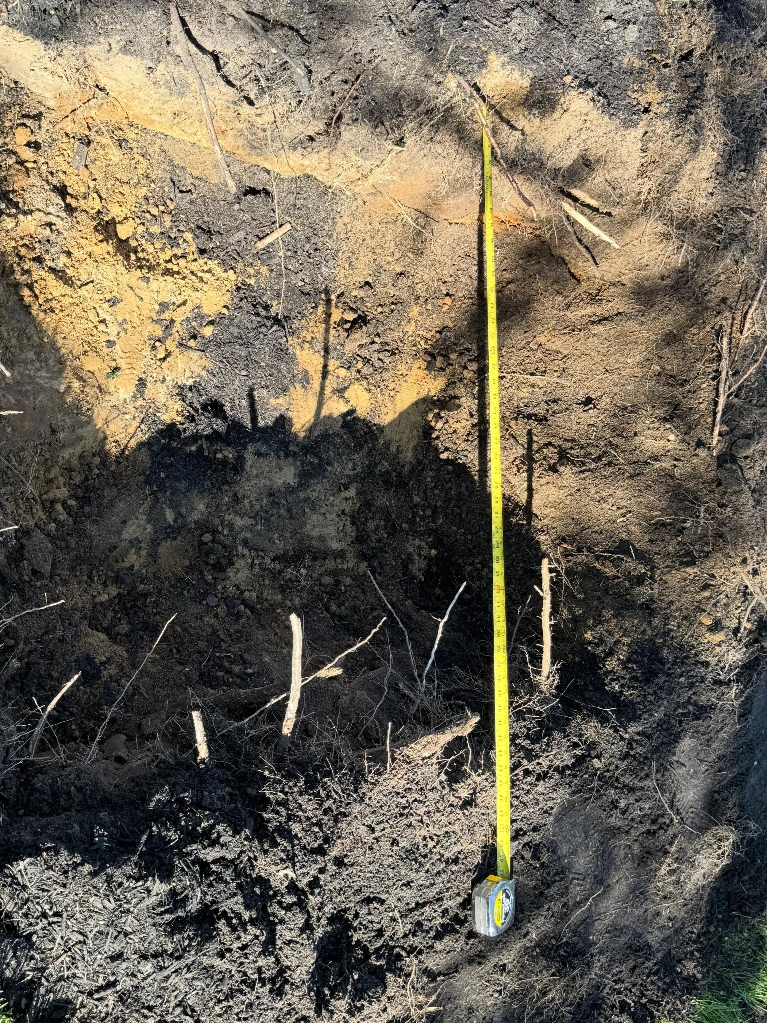 Hole is ready and the tree&hellip;..TREES!? Will be here tomorrow!  Yes, a little added bonus for following; they were not 2-4-1🤣😂. The second is an umbrella pine.  I seriously suggest you look them up!

Thank you @thewolfsdennursery