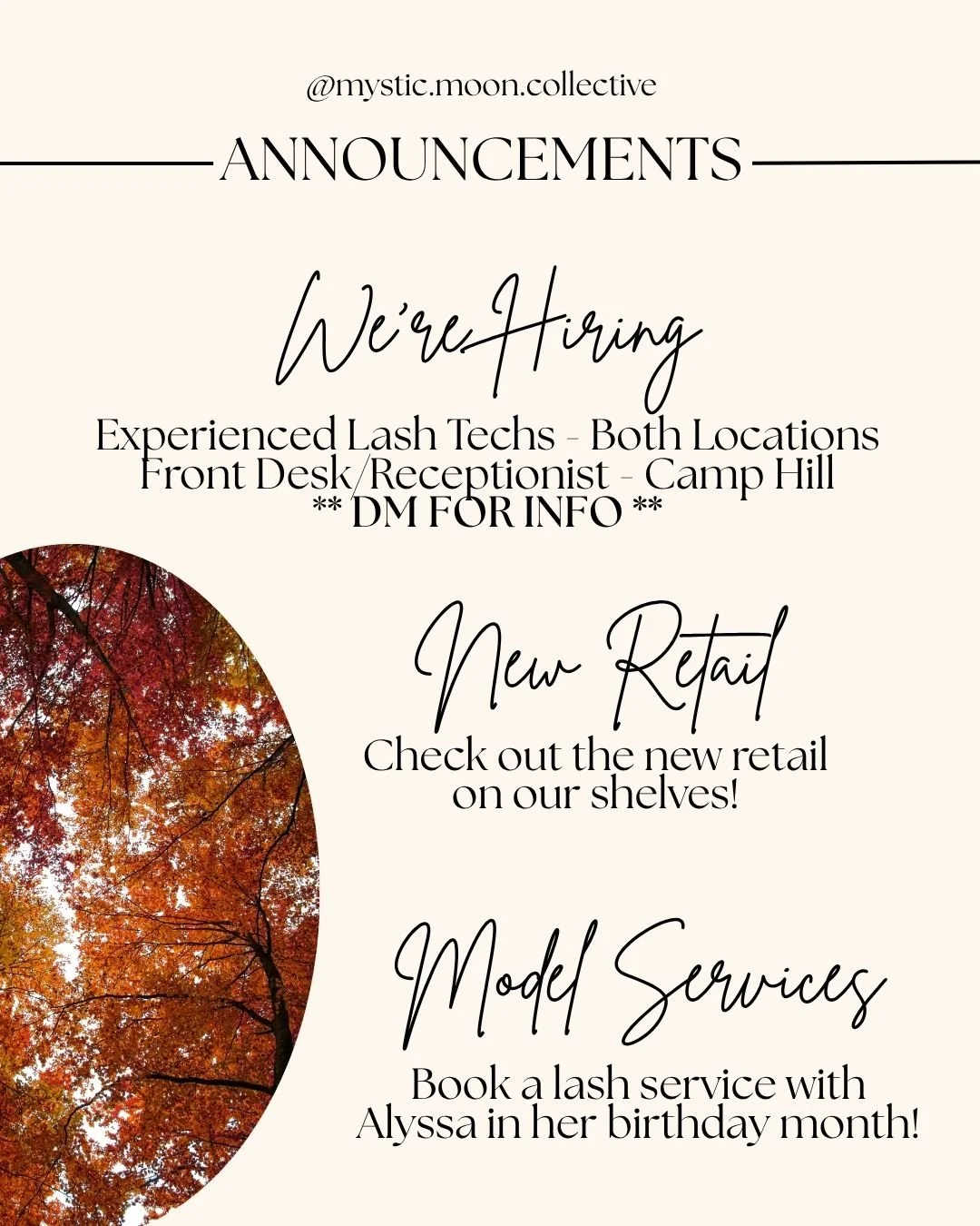Announcement poster from Mystic Moon Collective about hiring lash techs, promoting new retail, and model services with an autumn leaf tree image.