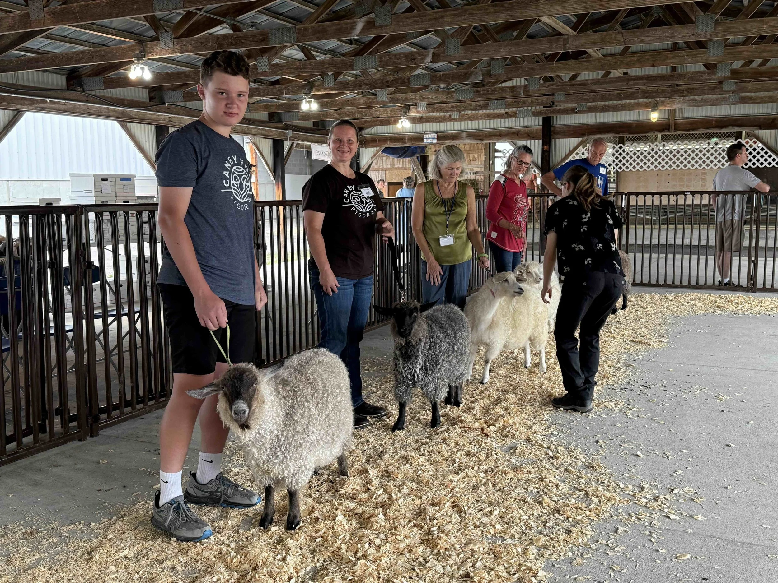 Creating a 4-H Fiber Club