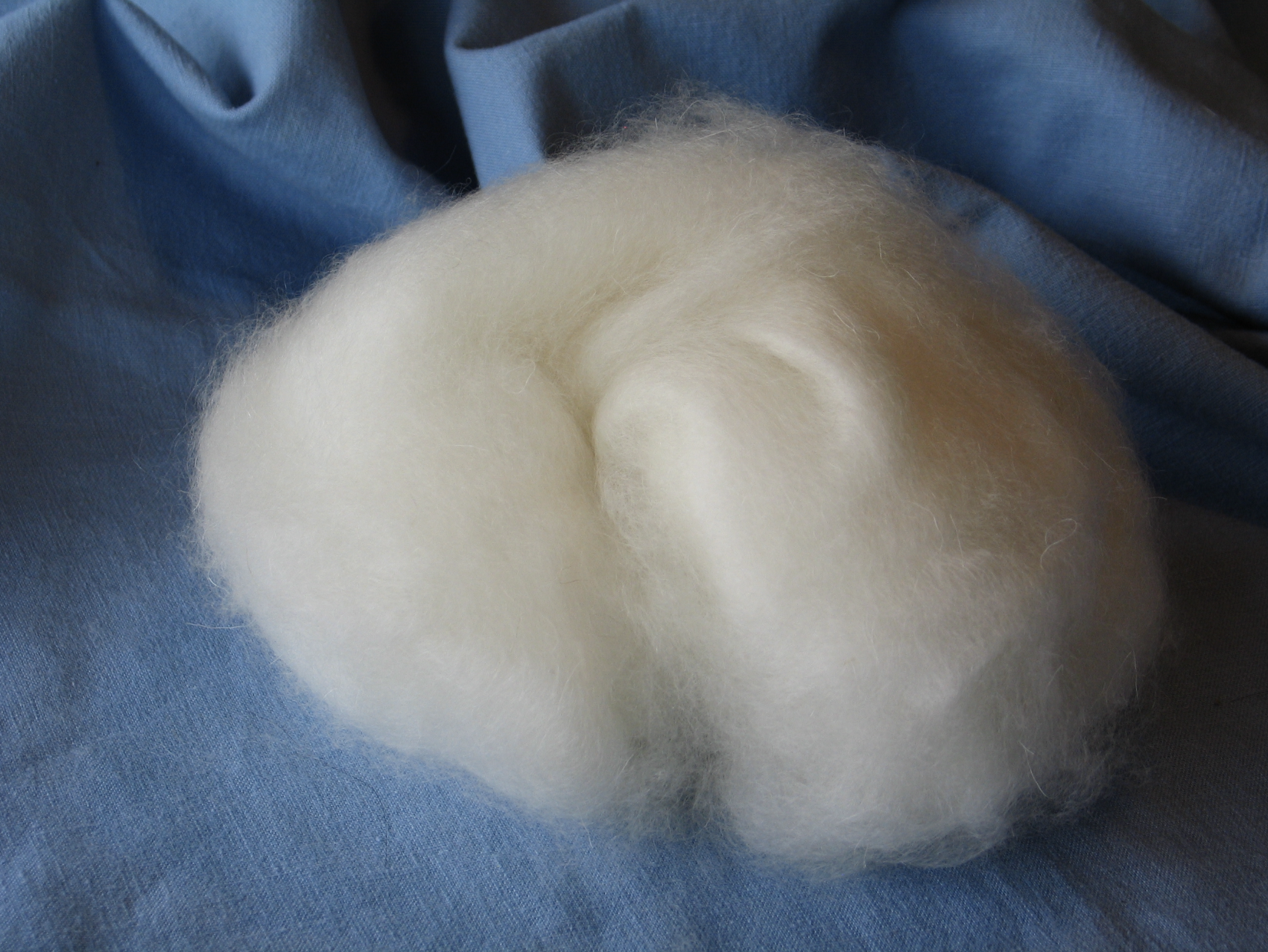 Photo of a white cloud of processed pygora fleece