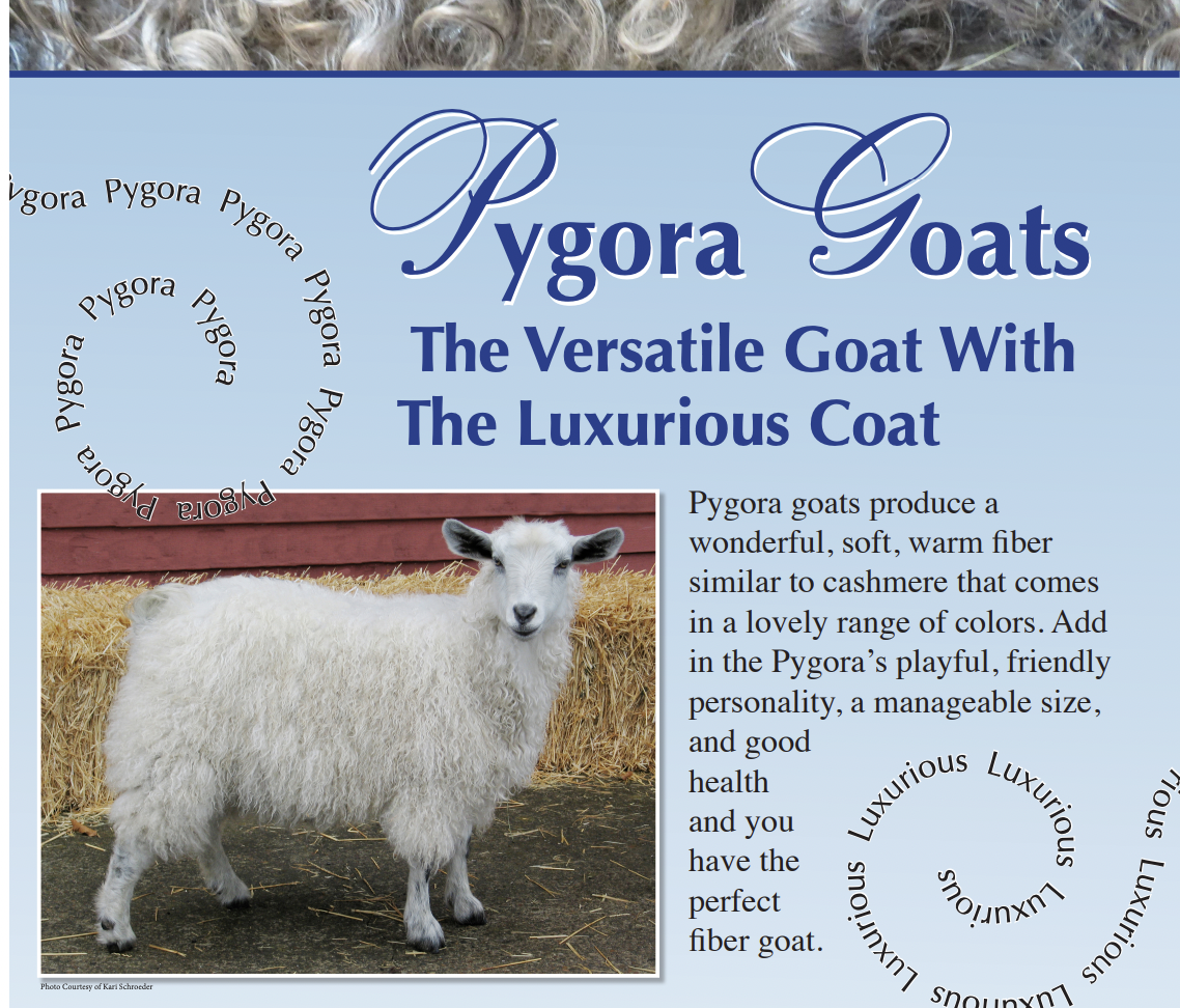 Screen Shot of a section of the Pygora Goats Trifold display.