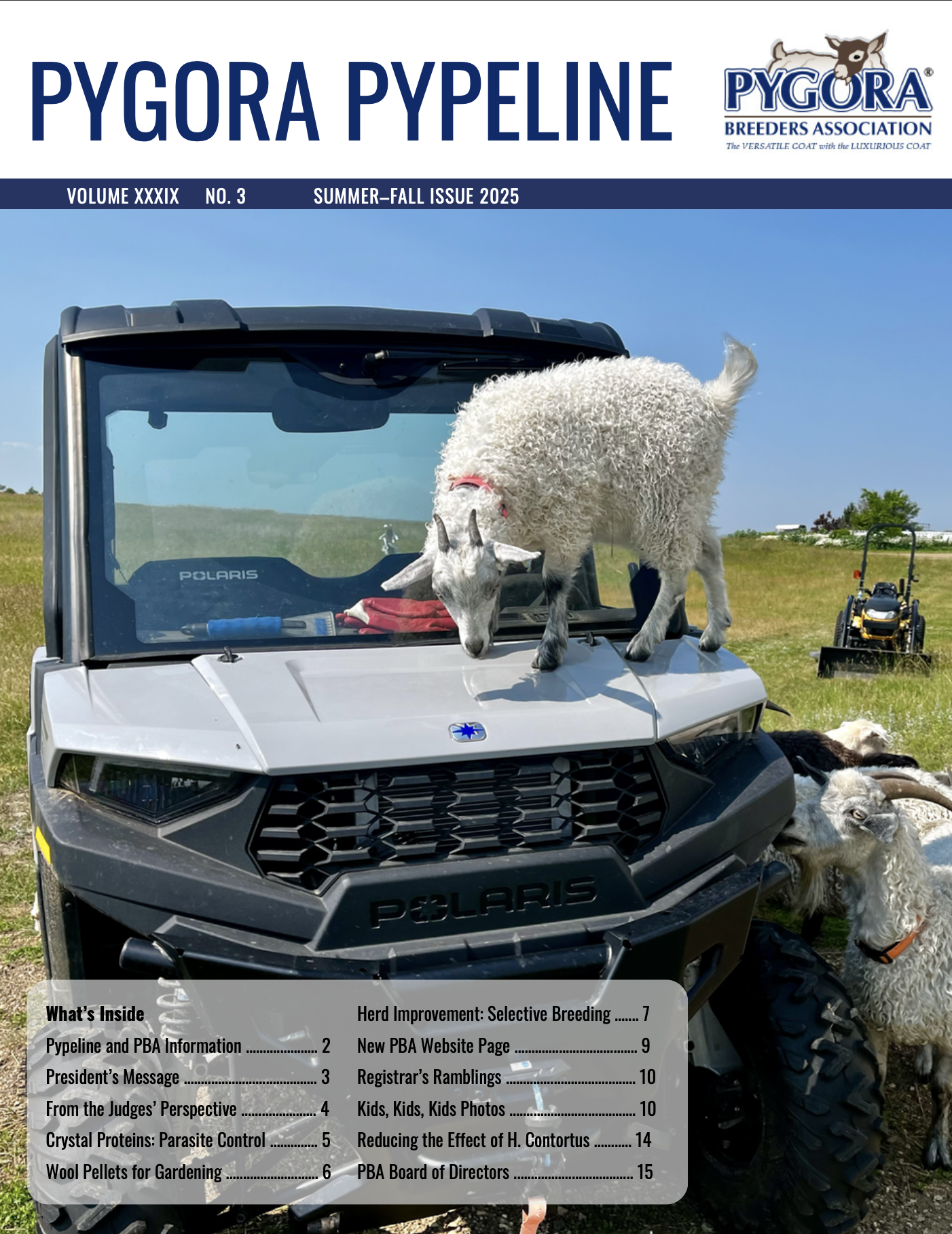 The cover of the Summer 2025 Pygora Pypeline Newsletter