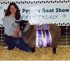 Photo of grand champion doe Windshadow's Jessica.