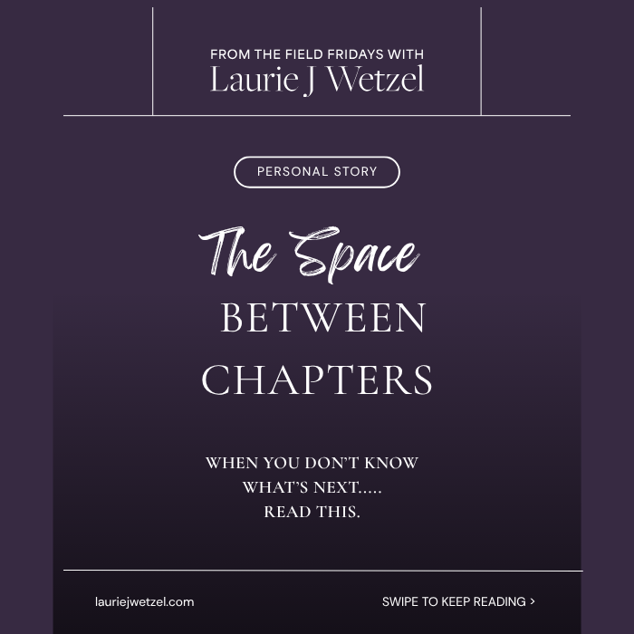 Standing in the Space Between Chapters