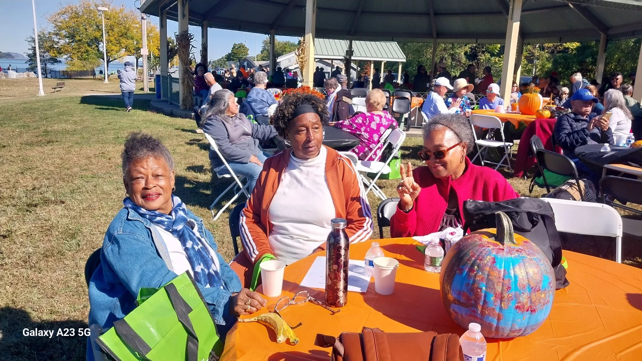 Senior Program in Yonkers