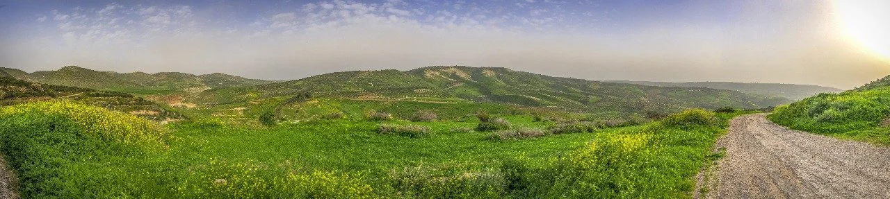 A dirt road winding through a lush, green field with rolling hills in the background under a cloudy sky.