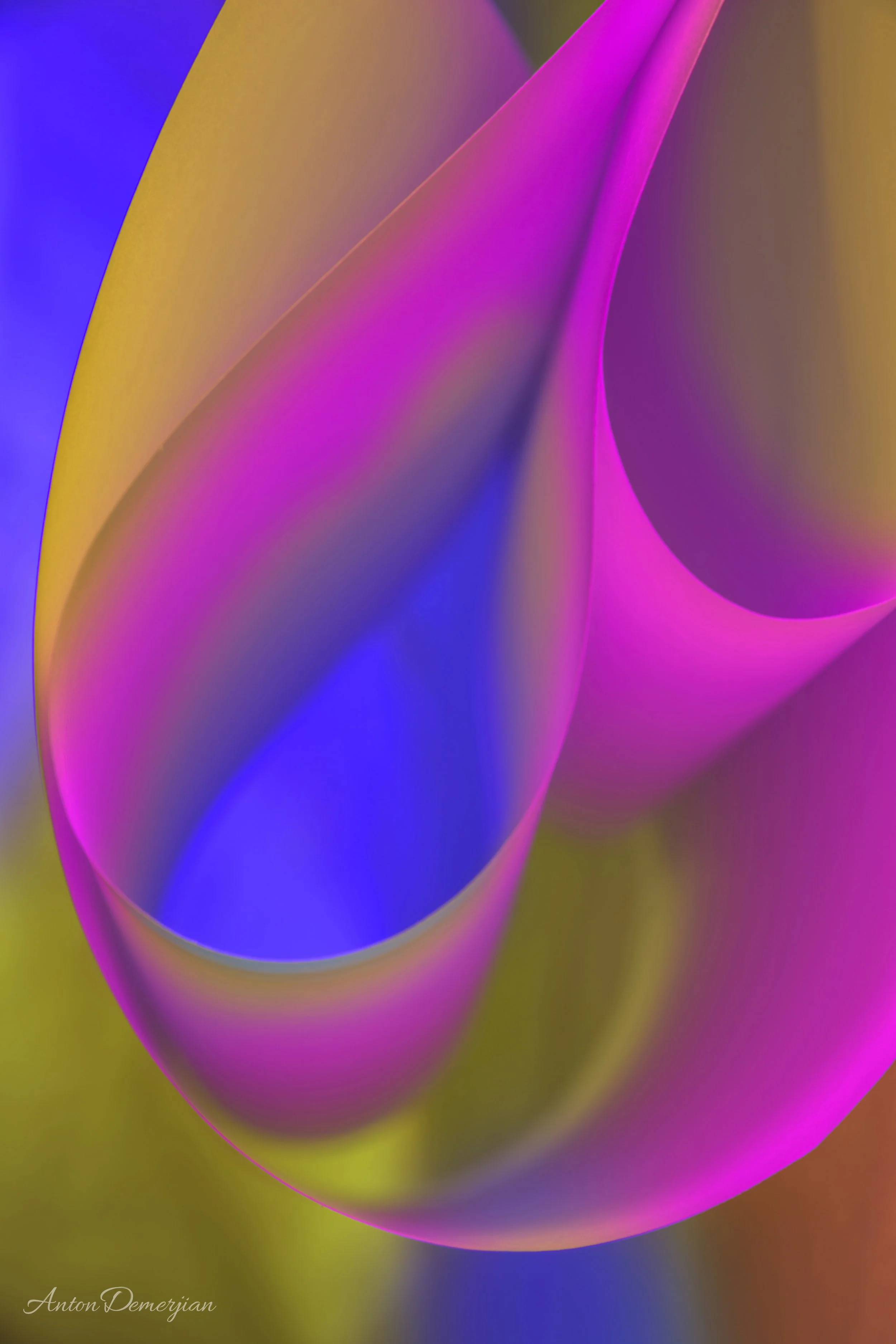 Untitled-1_WM.jpg