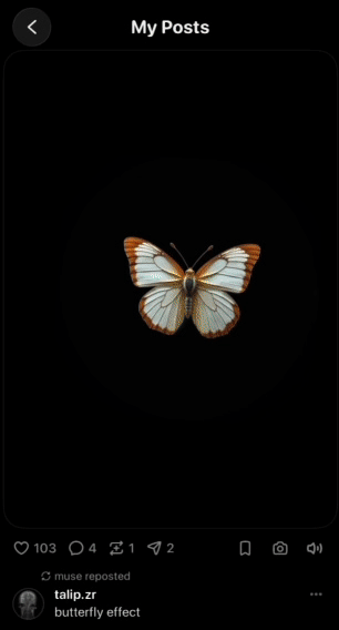 copy_0D5ABD4A-DD51-49D3-9B90-158F286F7402.GIF