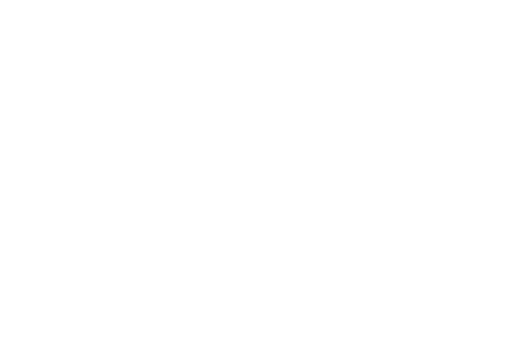 Y+T