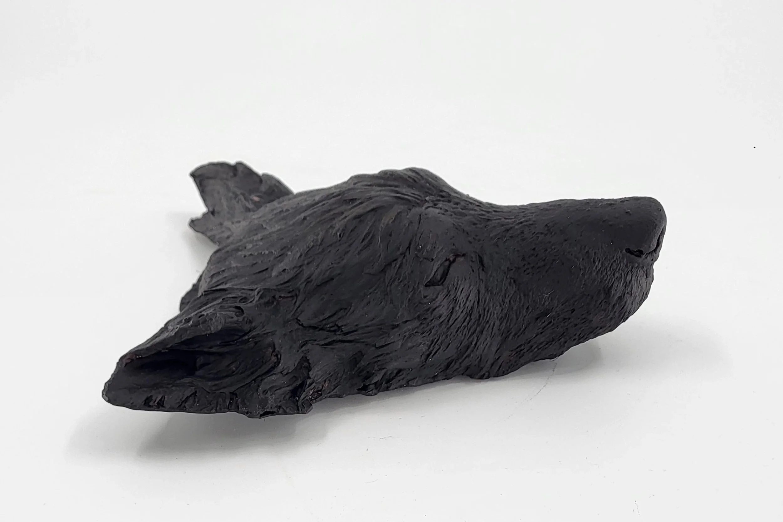 Totenmaske Hund Tierpräparator