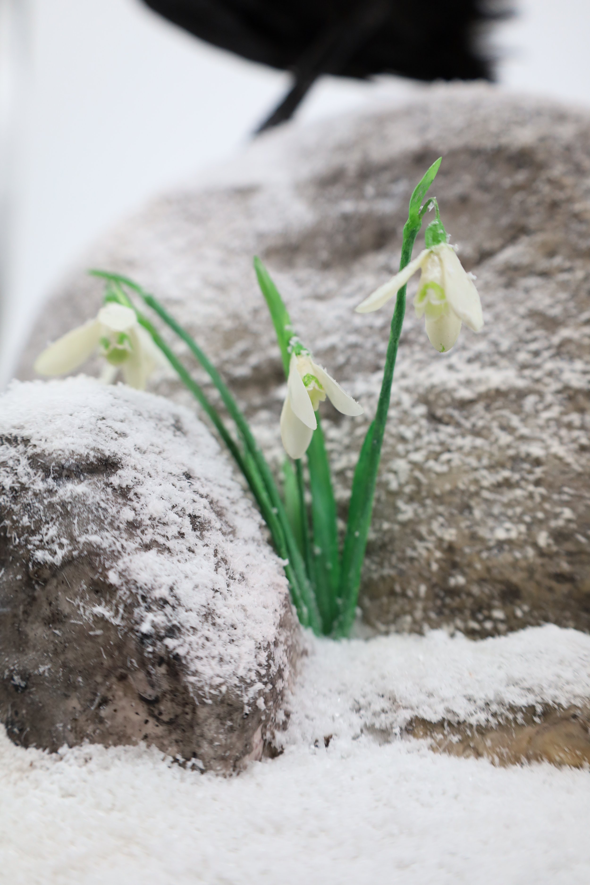 %p  Modellbau Blumen Scheeglöckchen