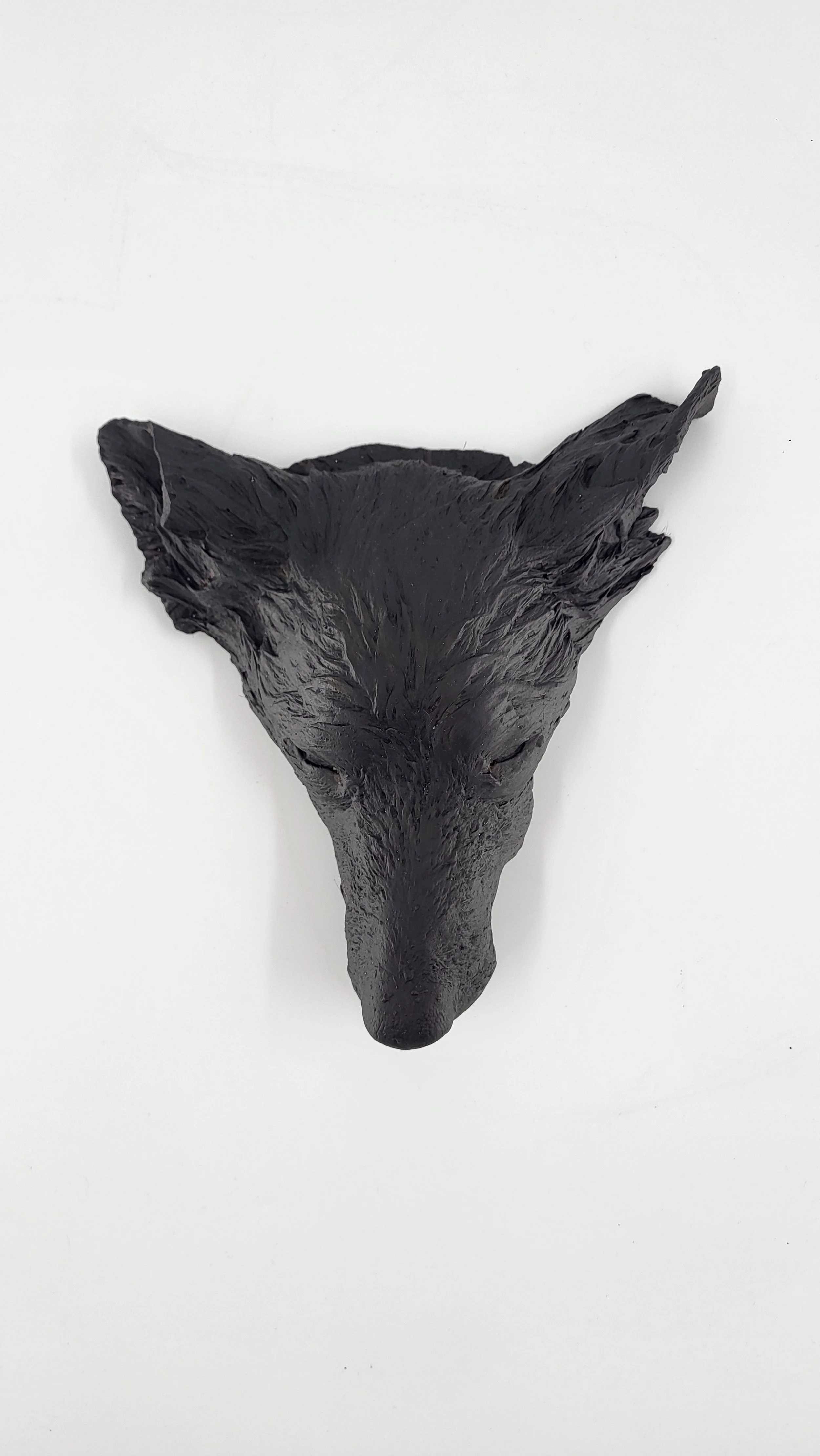 Totenmaske Hund Erinnerung an verstorbenes Haustier. Tierpräparator