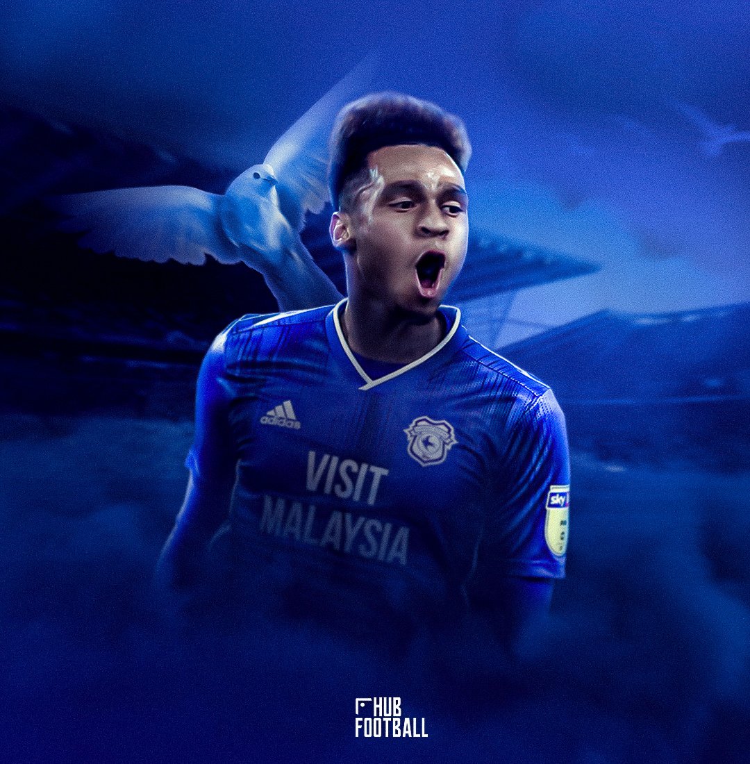 eflhub cardiff city.jpg