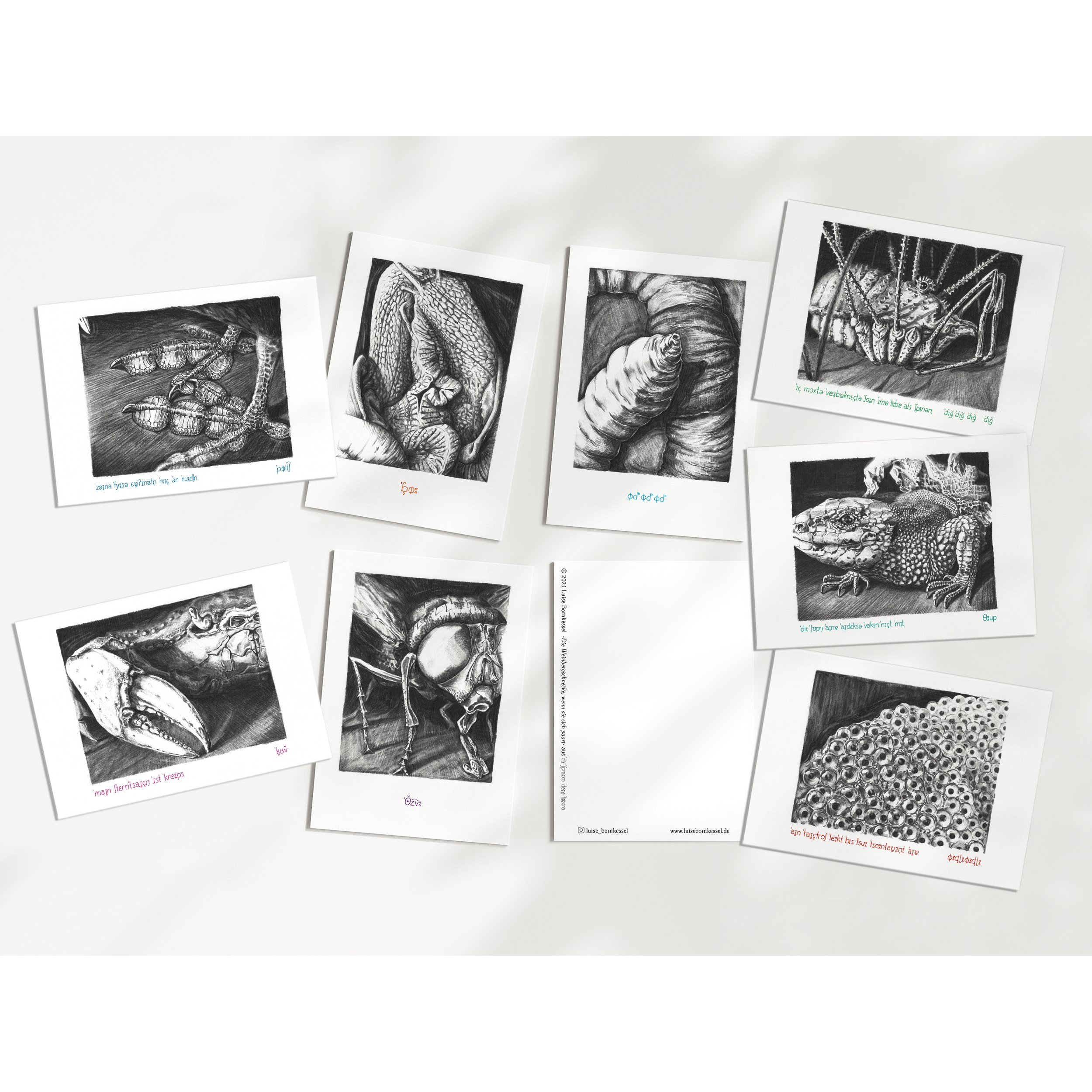 3+Hochformat+5+Querformat+geschnitten.jpg