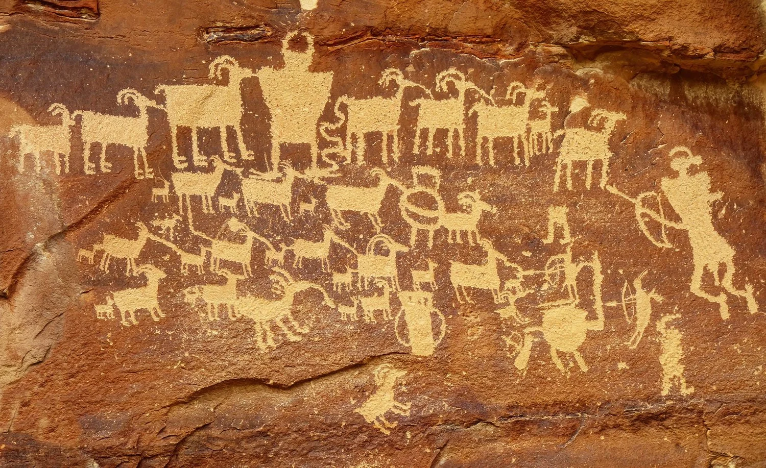 Petroglyph panel shows numerous "bighorn" type figures and Native American representations  apparently on a successful hunt.