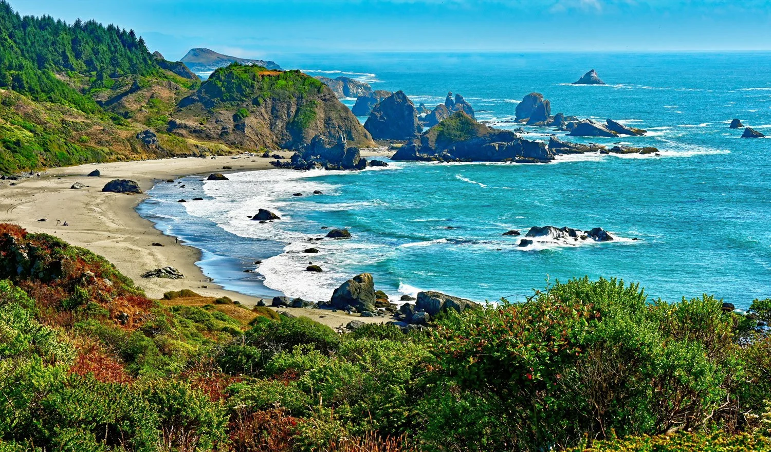 Oregon Coastal scene with Sea Stacks, sandy beach, blue ocean with waves, low foreground foliage and hills with forest coming down to the sea.
