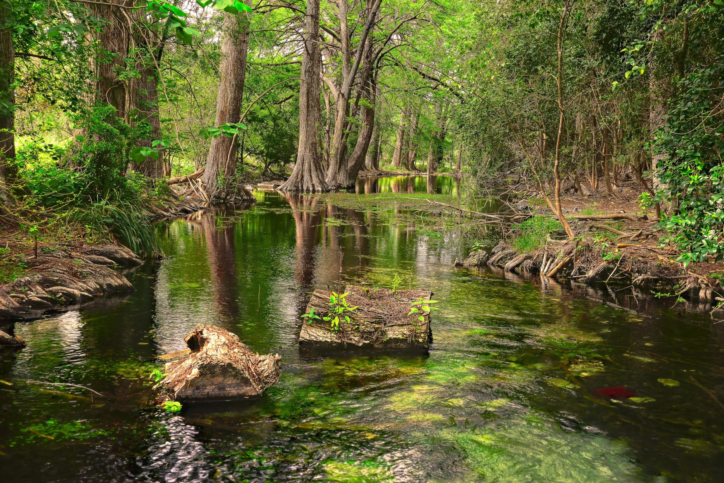 Along the Frio (Horizontal)