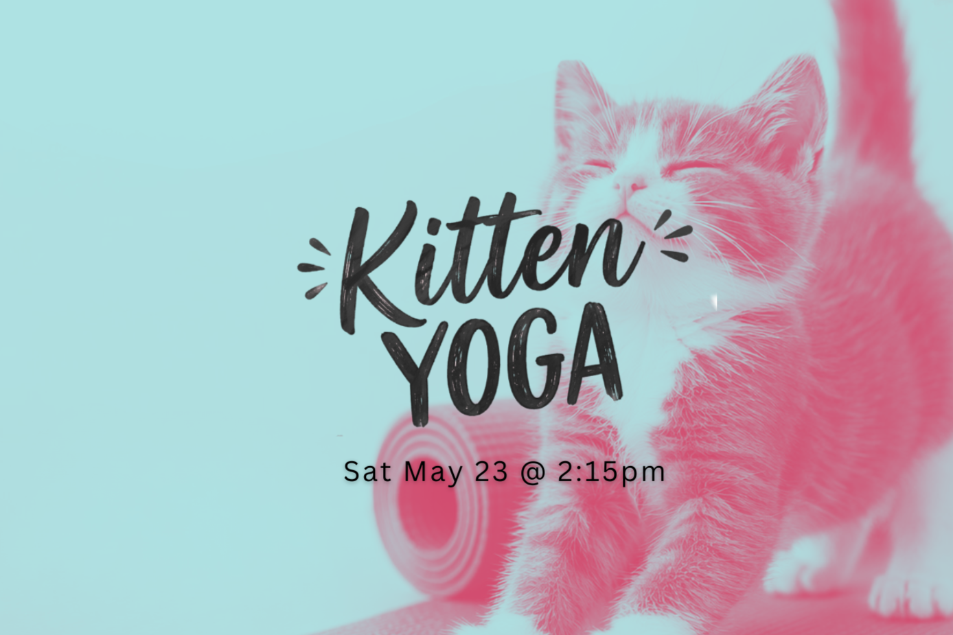 Kitten+Yoga+-+June+29.png
