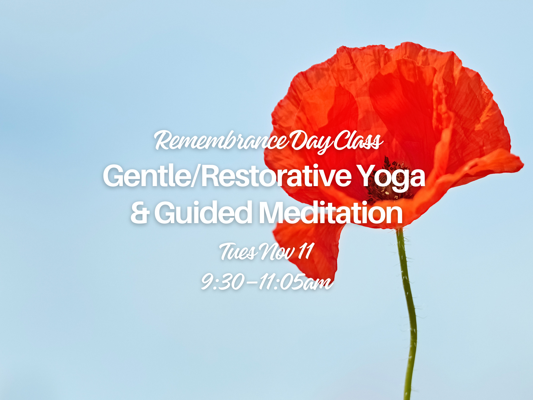 Gentle/Restorative Yoga & Guided Medtiation