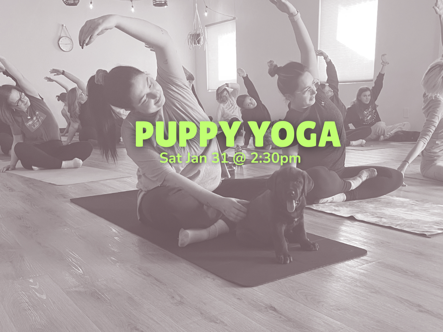 Puppy Yoga