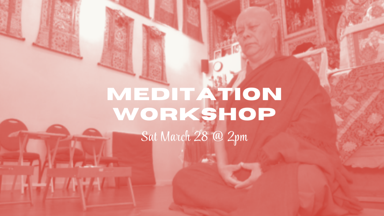 Meditation Workshop