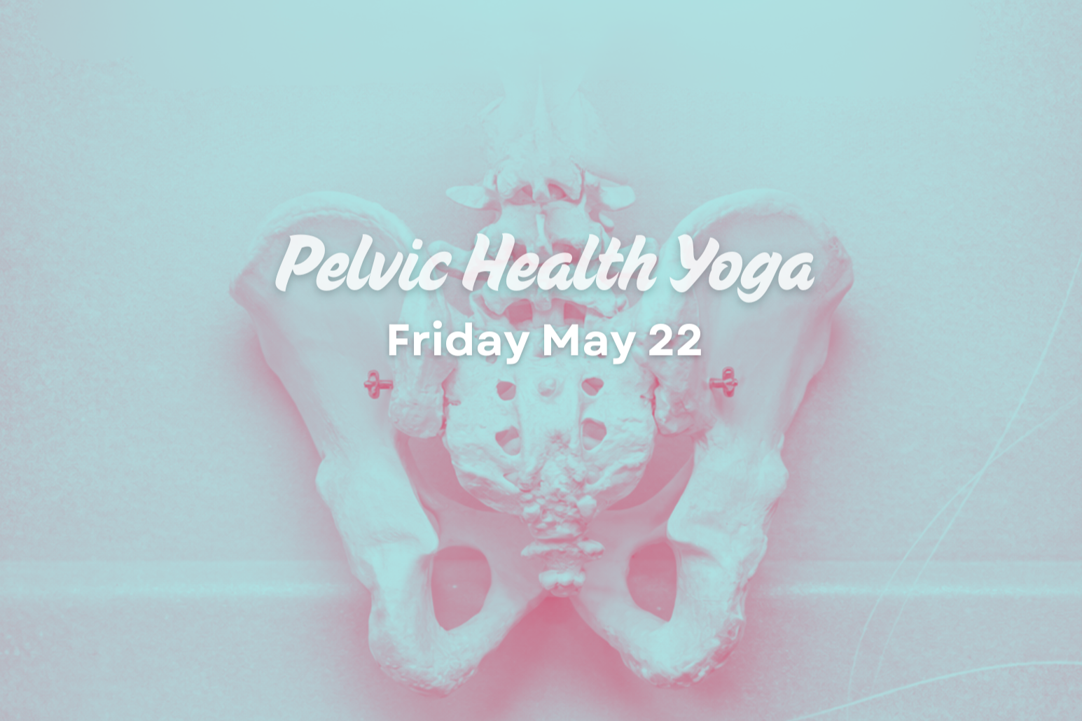 Pelvic Health Yoga Workshop