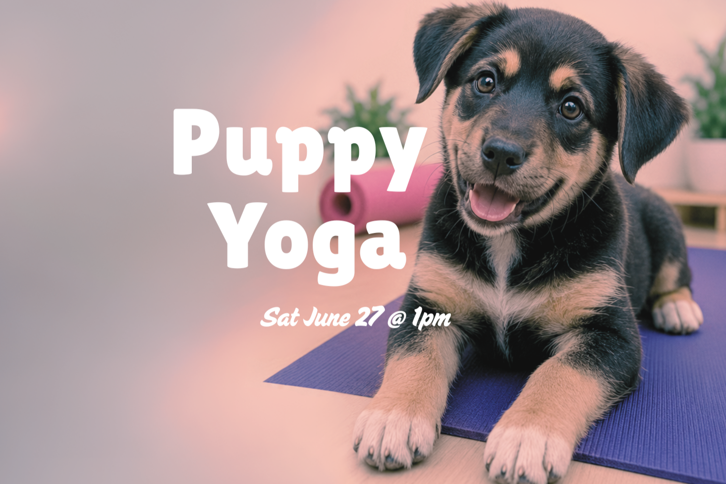 Puppy Yoga