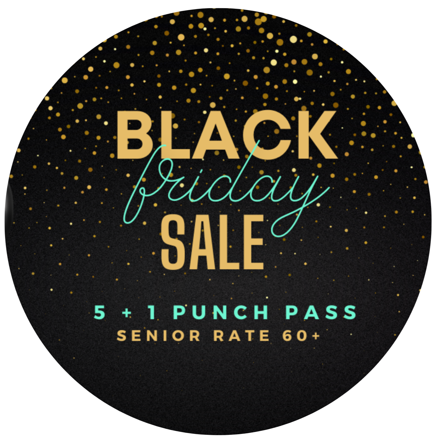 senior+5%2B1.png