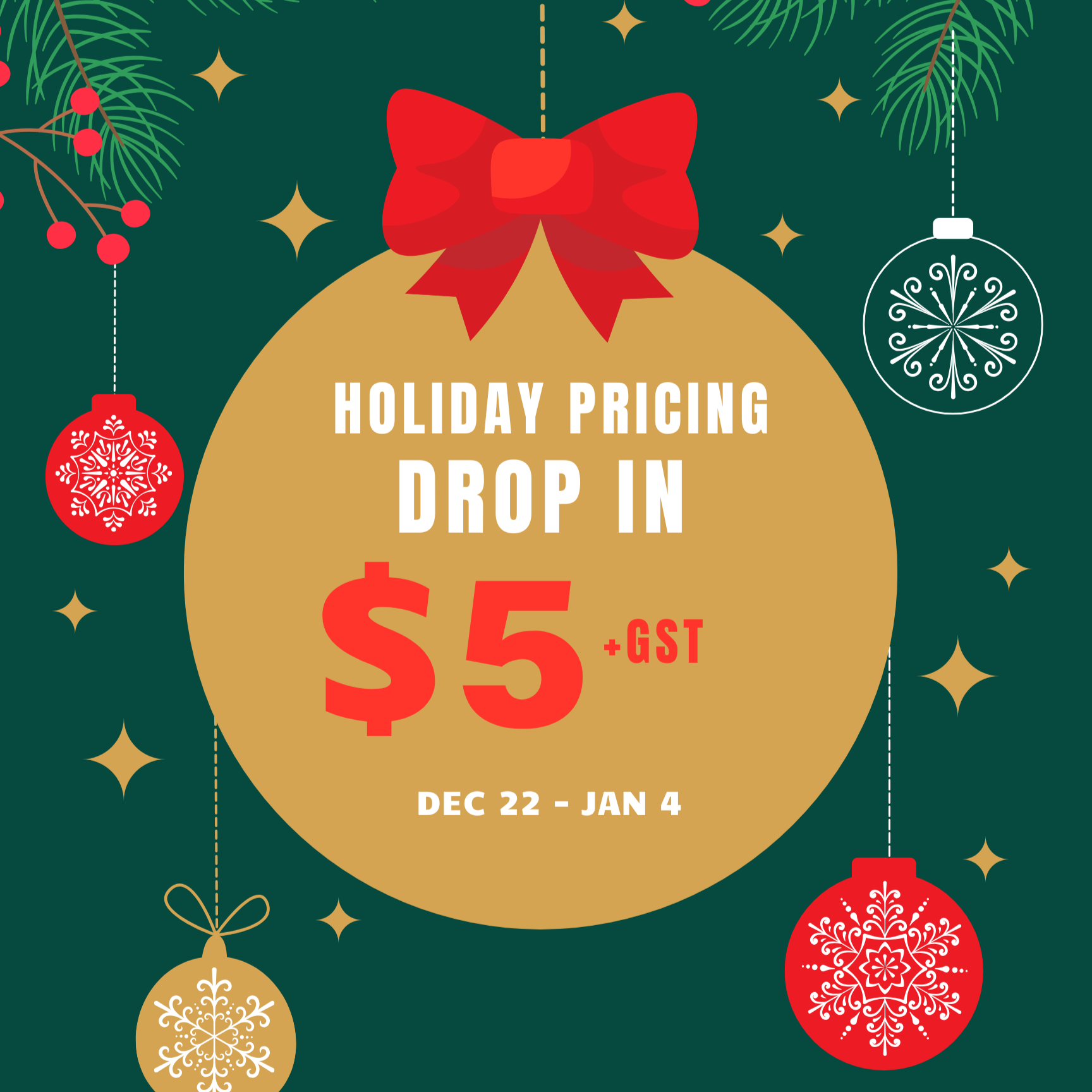 Holiday Pricing - Drop In (Dec 22-Jan 4)