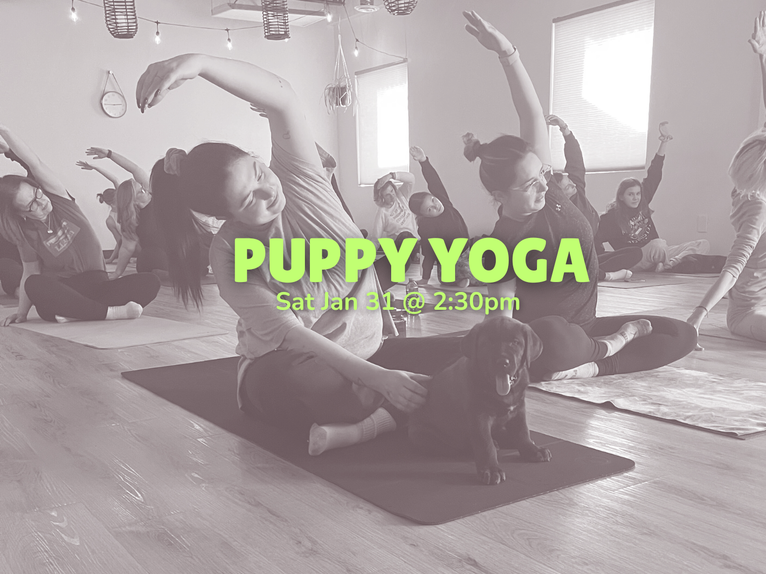 Puppy+Yoga+%283%29.png