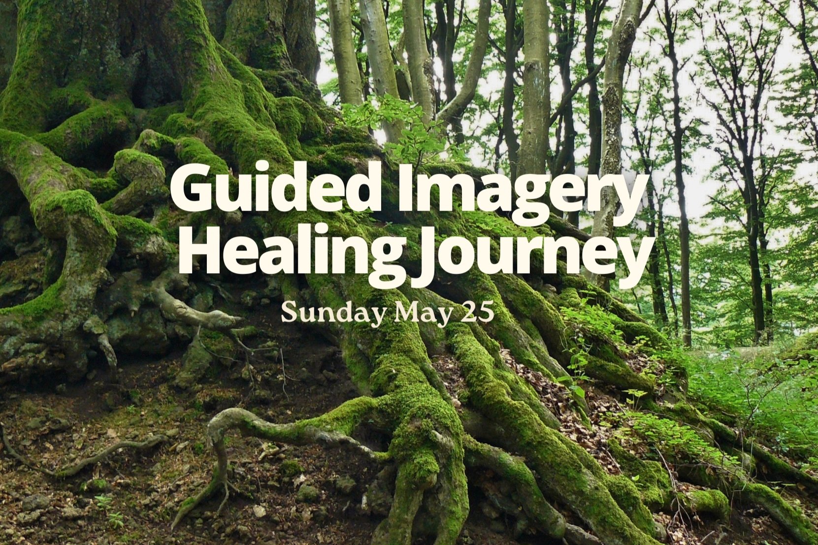 Guided Imagery Healing Journey (May 25)