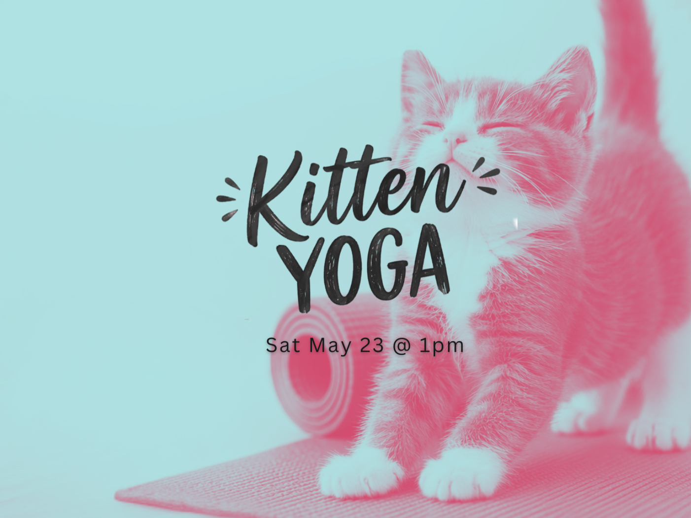 Kitten+Yoga+-+June+29+%282%29.png