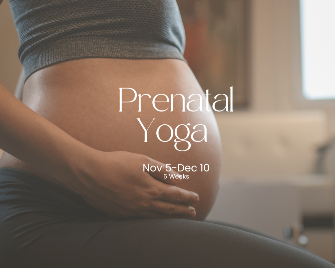 SQUARE+-+Prenatal+Yoga.png