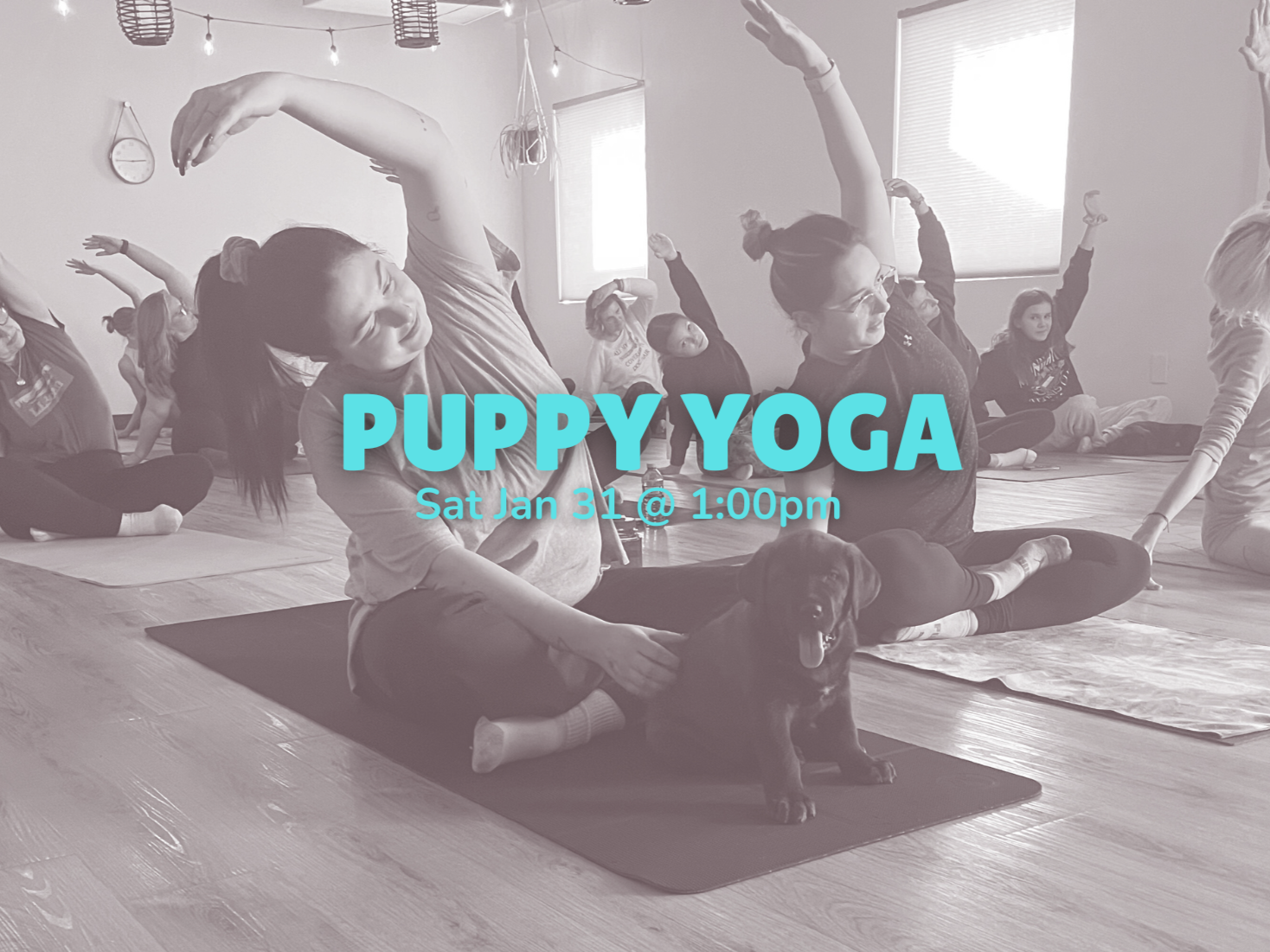Puppy Yoga (Jan 31 @ 1pm)