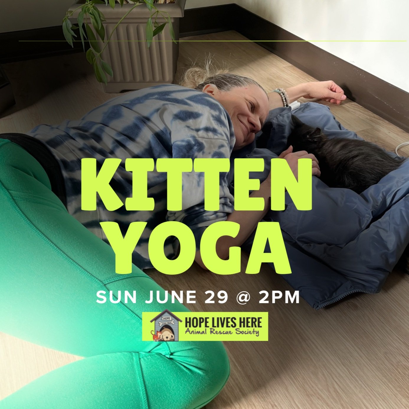 Kitten Yoga - Sun Jun 29 @ 2pm
