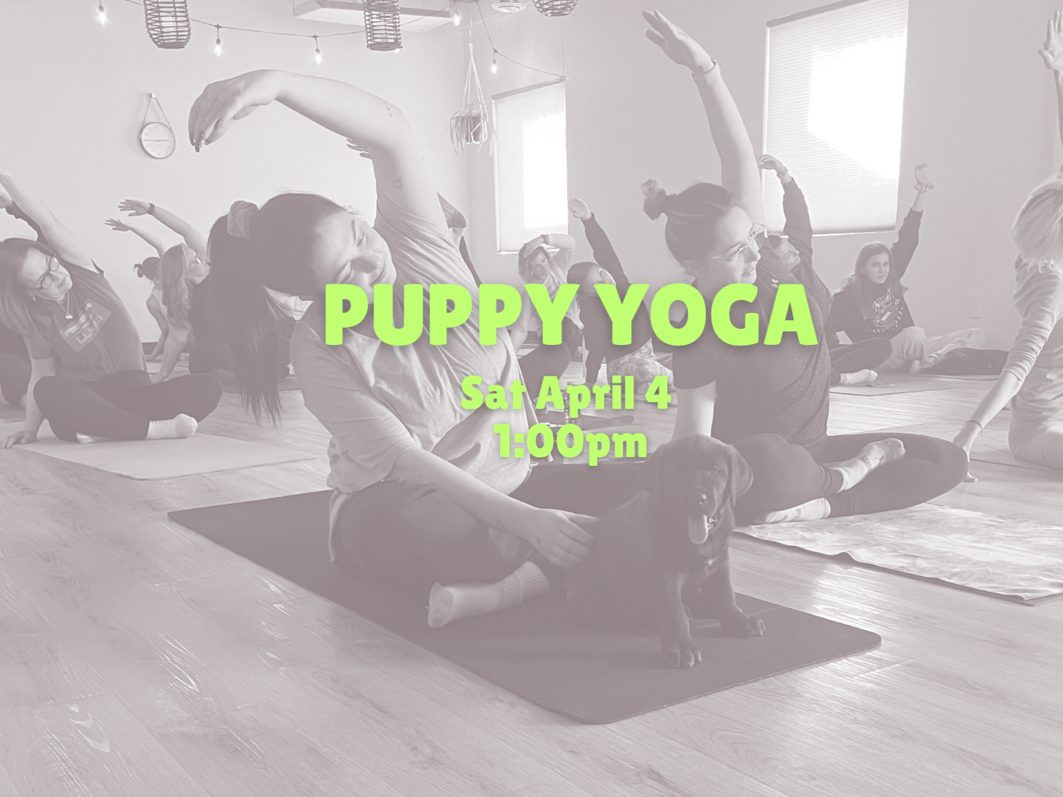 Puppy Yoga (April 4 @ 1pm)