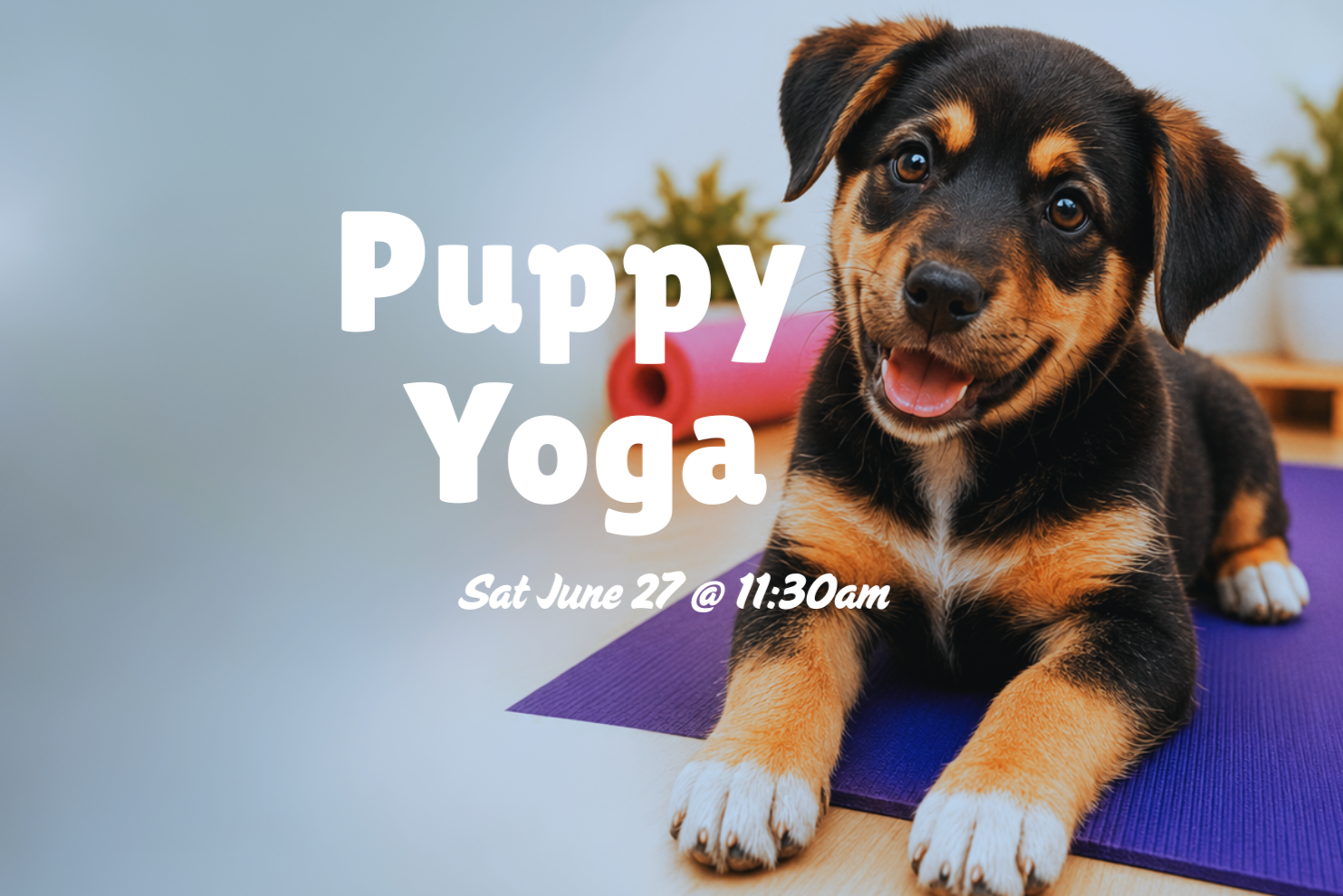 Puppy+Yoga+-+1130am+%28social+media%29.png