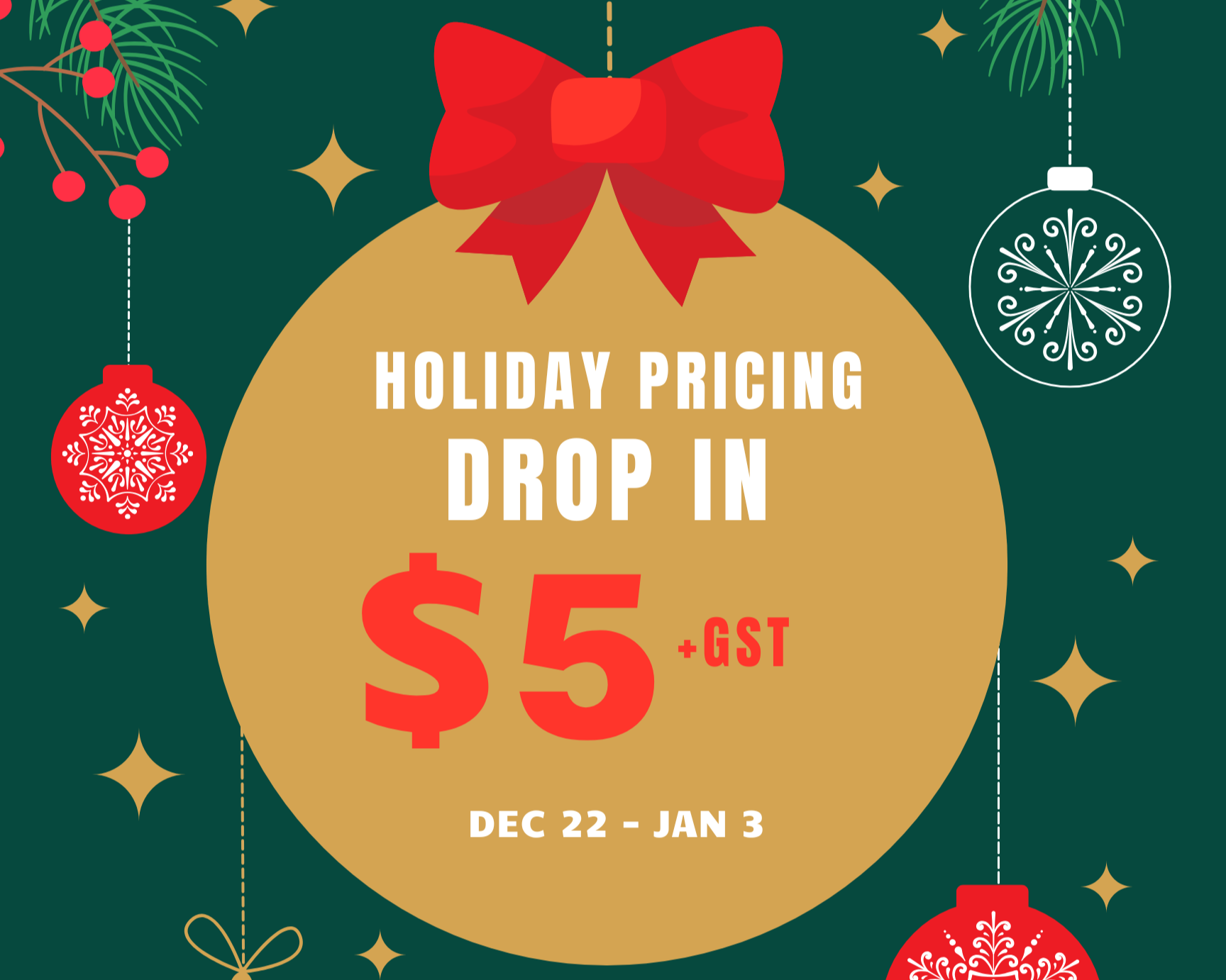 Holiday Pricing - Drop In (Dec 22-Jan 3)