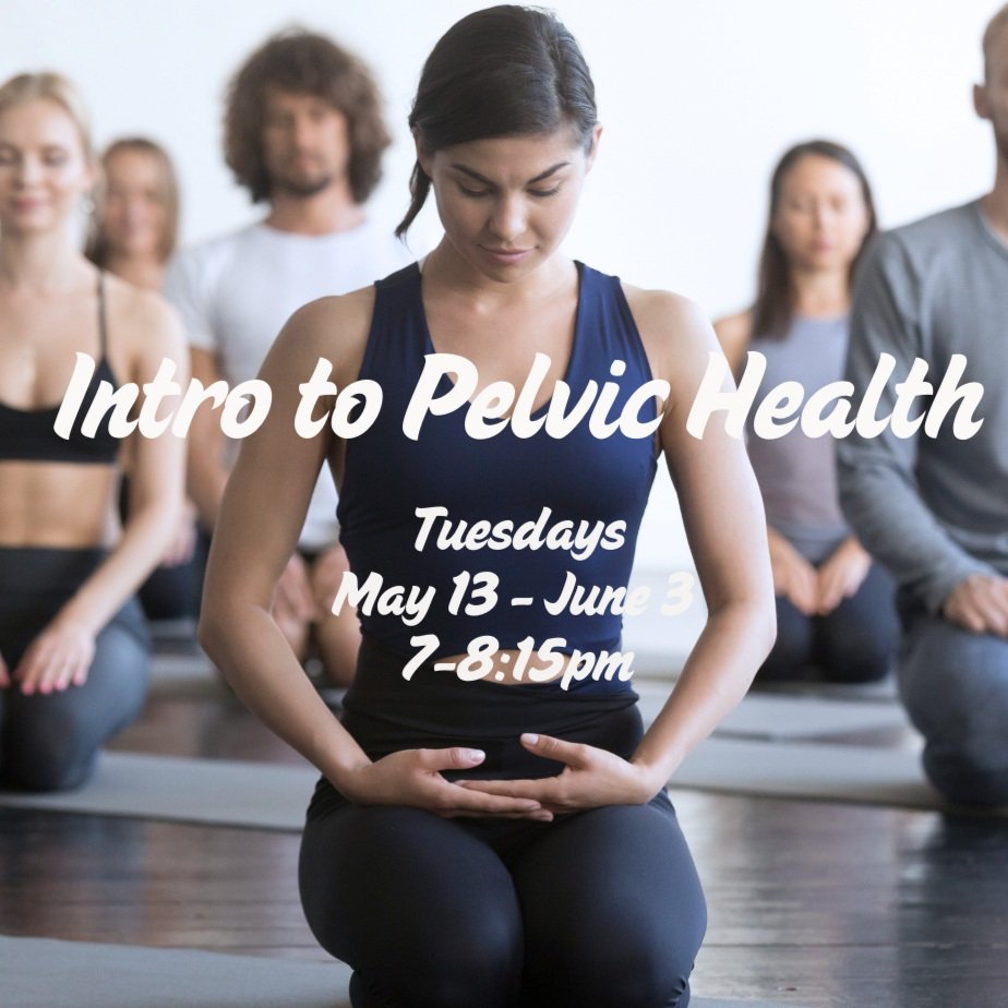 Intro to Pelvic Health - 4 Week