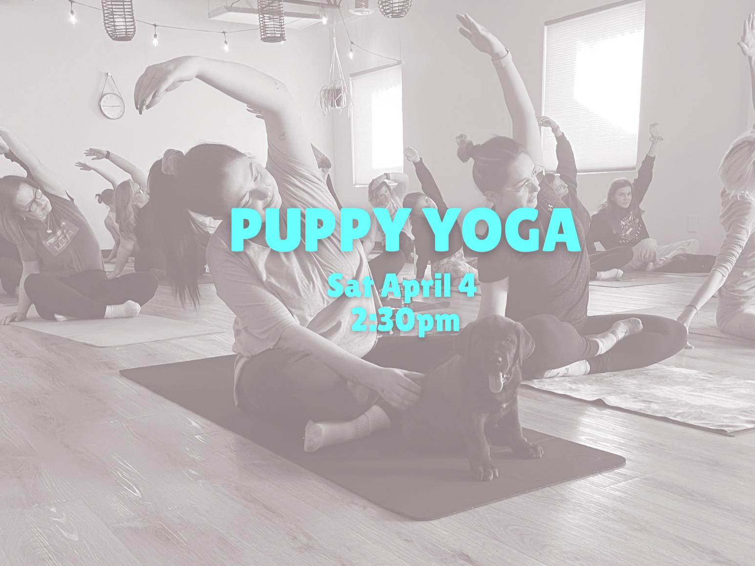 Puppy Yoga (April 4 @ 2:30pm)