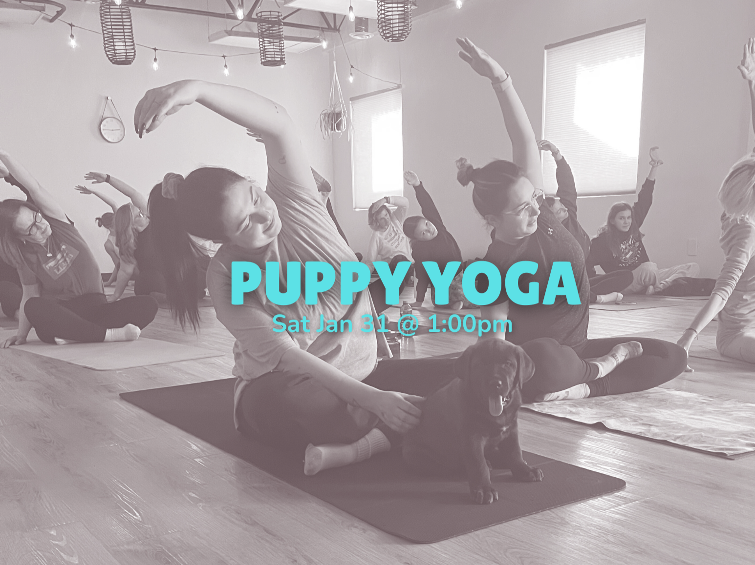 Puppy+Yoga+%284%29.png